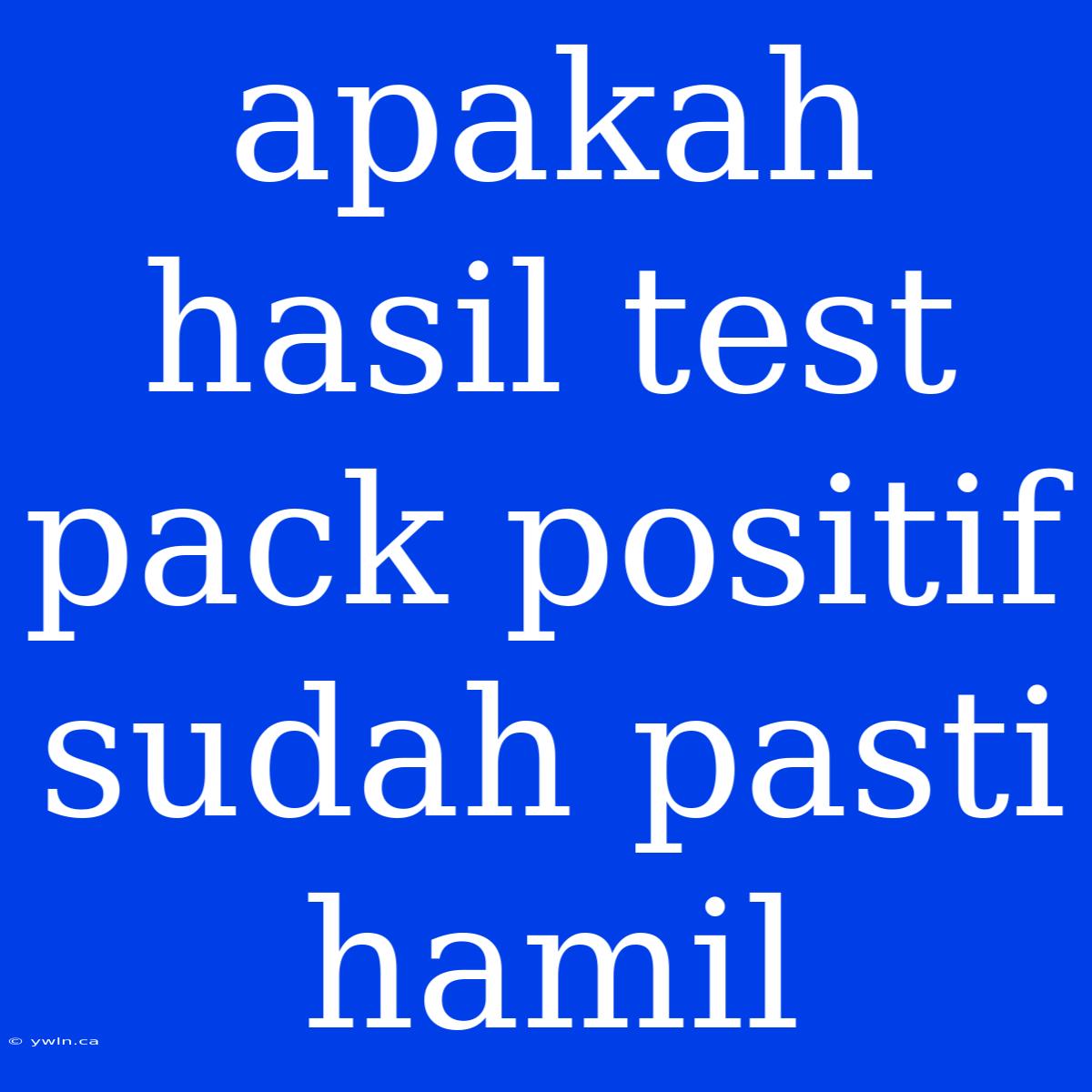 Apakah Hasil Test Pack Positif Sudah Pasti Hamil