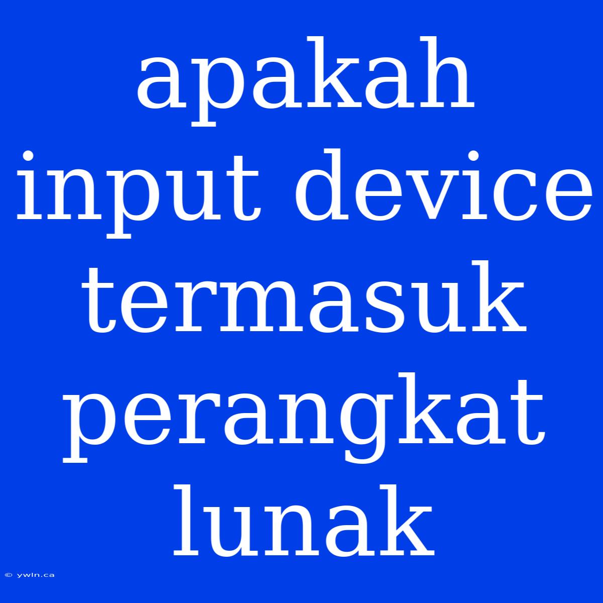 Apakah Input Device Termasuk Perangkat Lunak