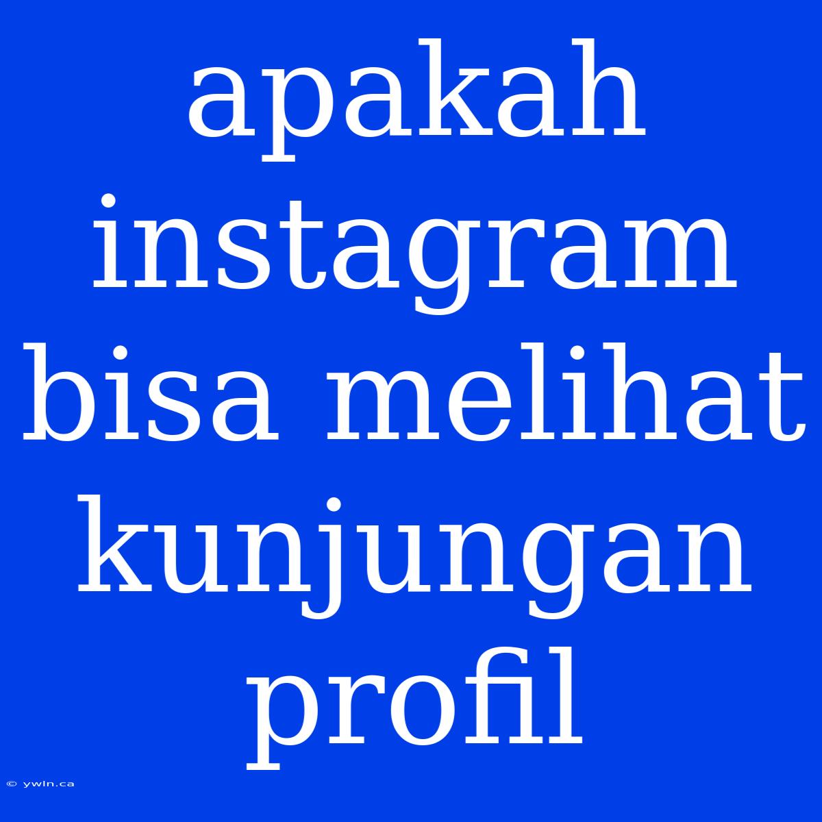 Apakah Instagram Bisa Melihat Kunjungan Profil