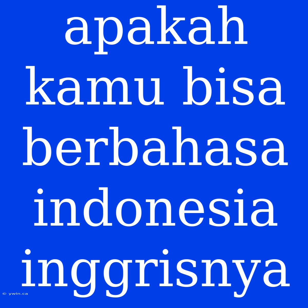 Apakah Kamu Bisa Berbahasa Indonesia Inggrisnya