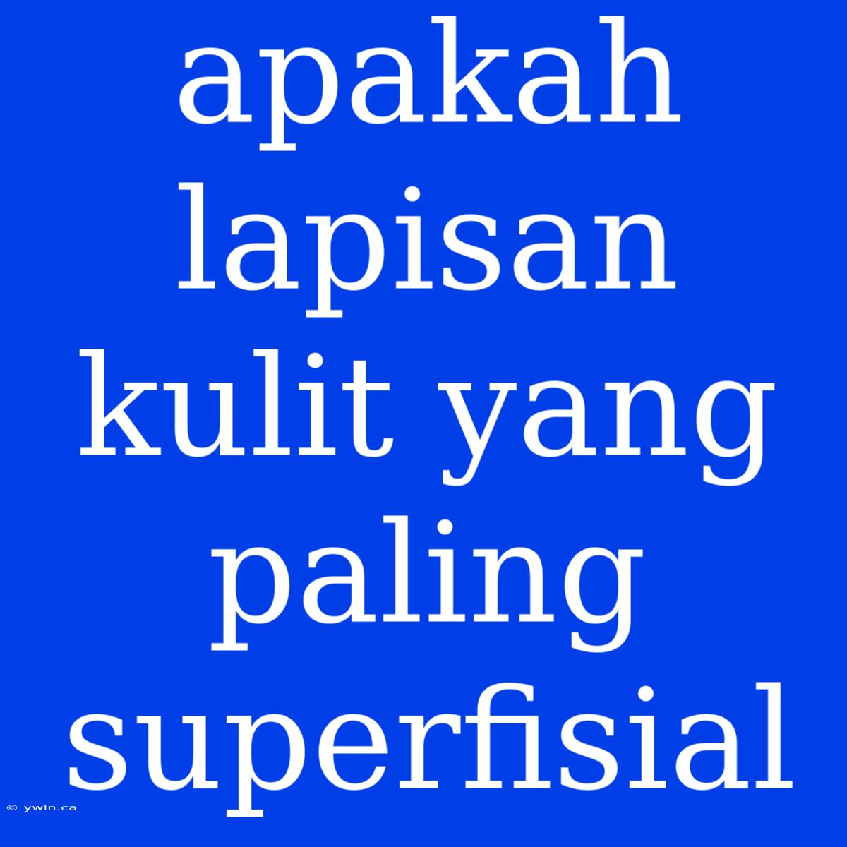 Apakah Lapisan Kulit Yang Paling Superfisial