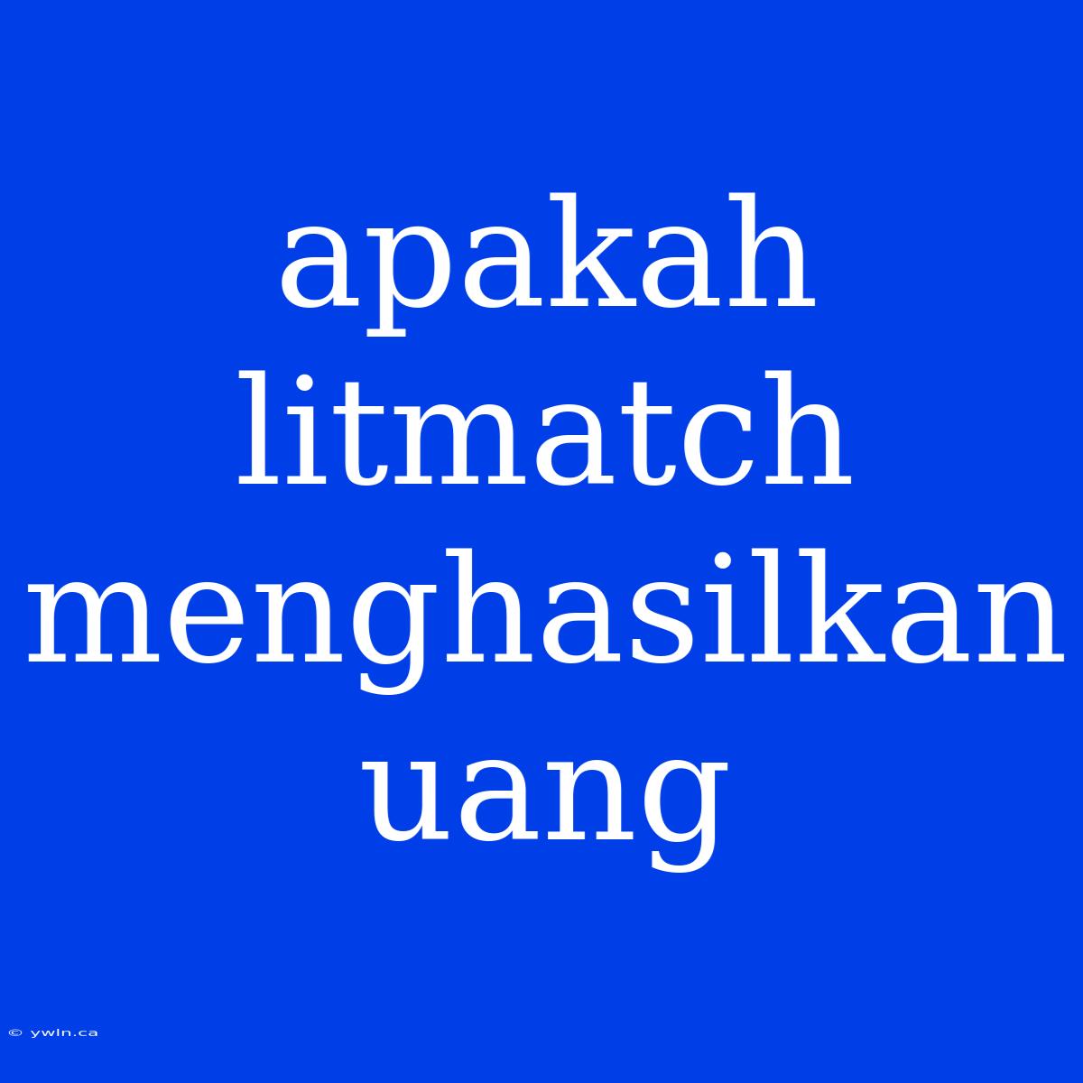 Apakah Litmatch Menghasilkan Uang