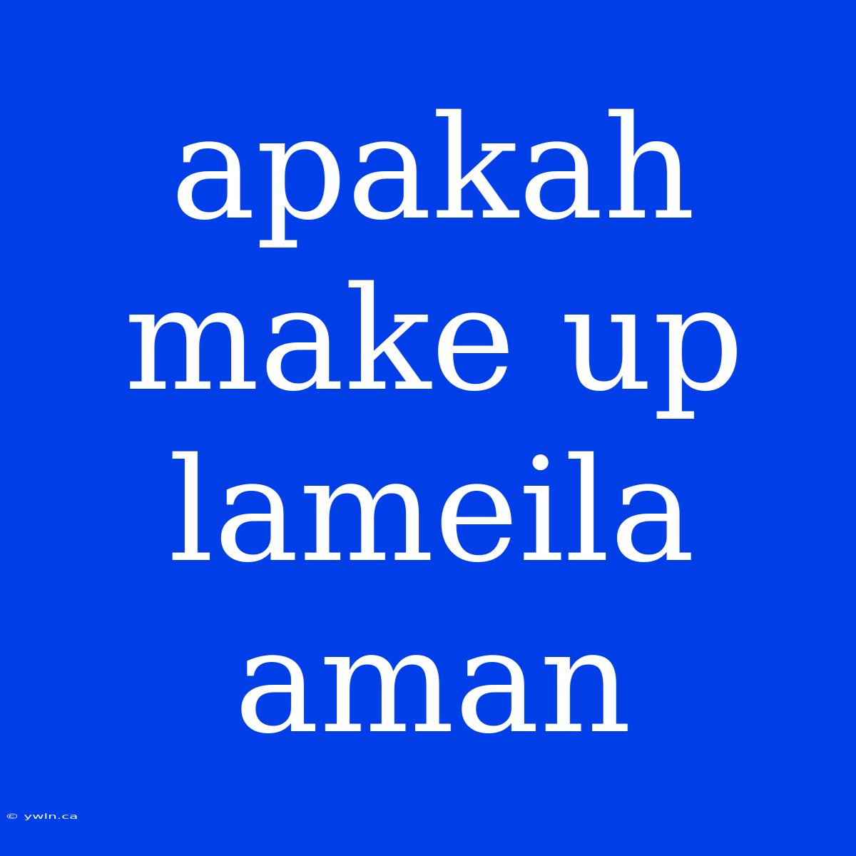 Apakah Make Up Lameila Aman