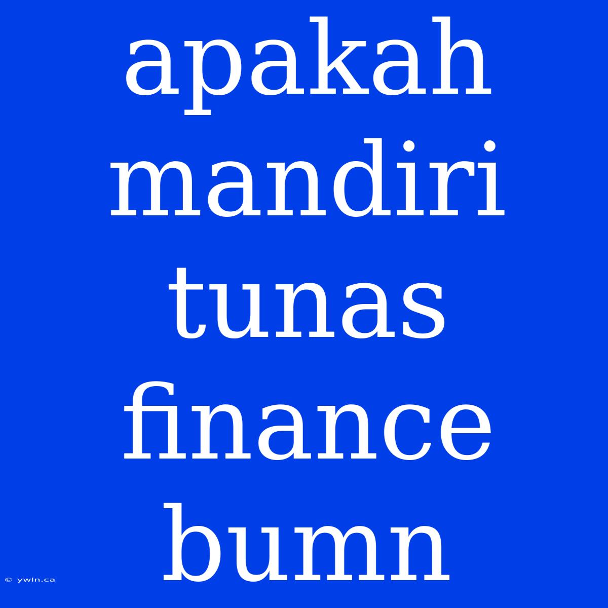 Apakah Mandiri Tunas Finance Bumn