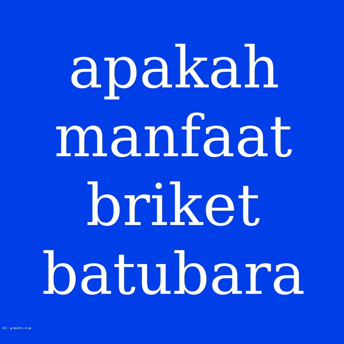 Apakah Manfaat Briket Batubara