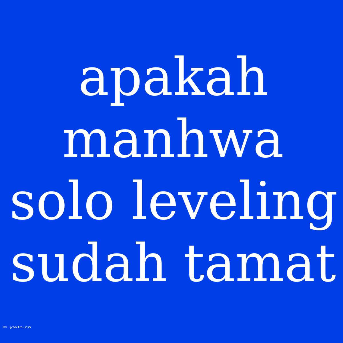 Apakah Manhwa Solo Leveling Sudah Tamat