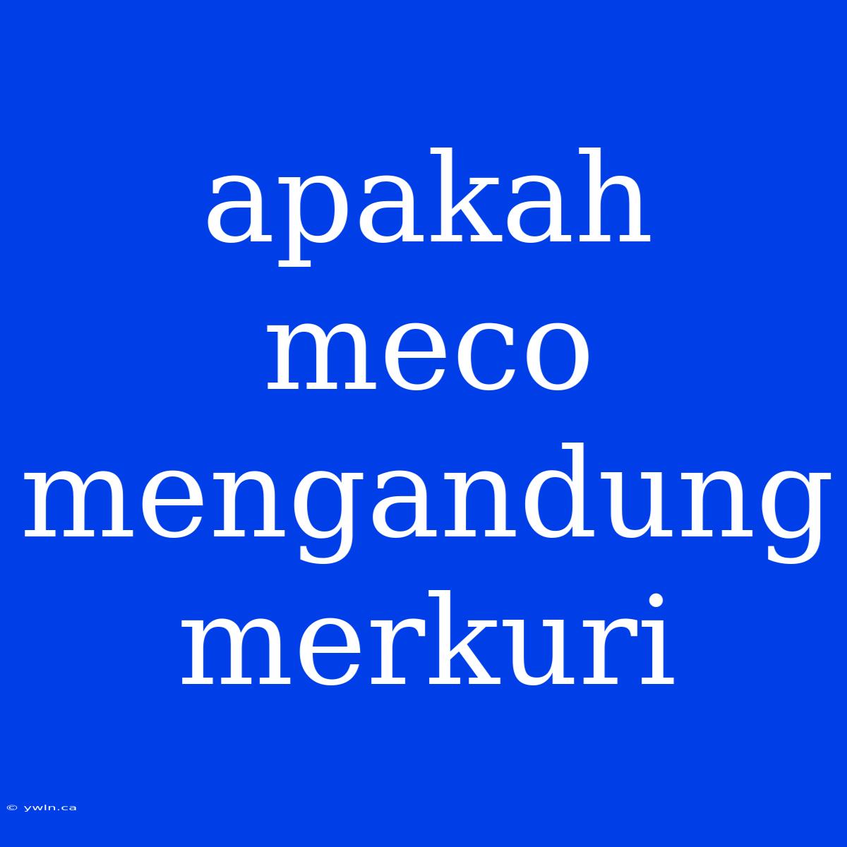 Apakah Meco Mengandung Merkuri