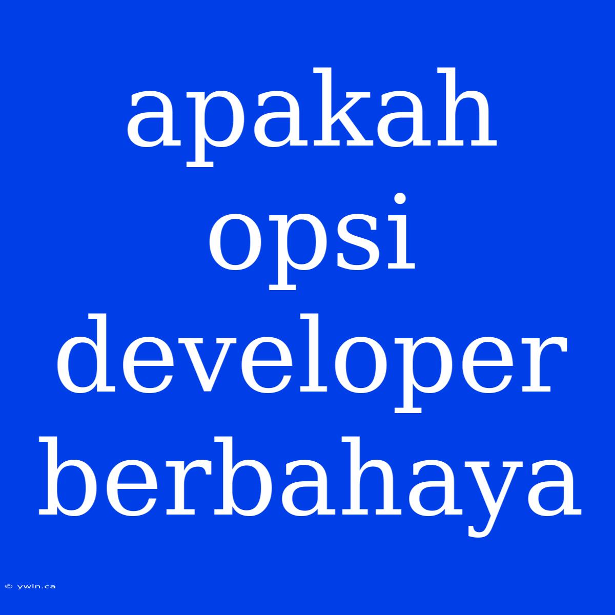 Apakah Opsi Developer Berbahaya