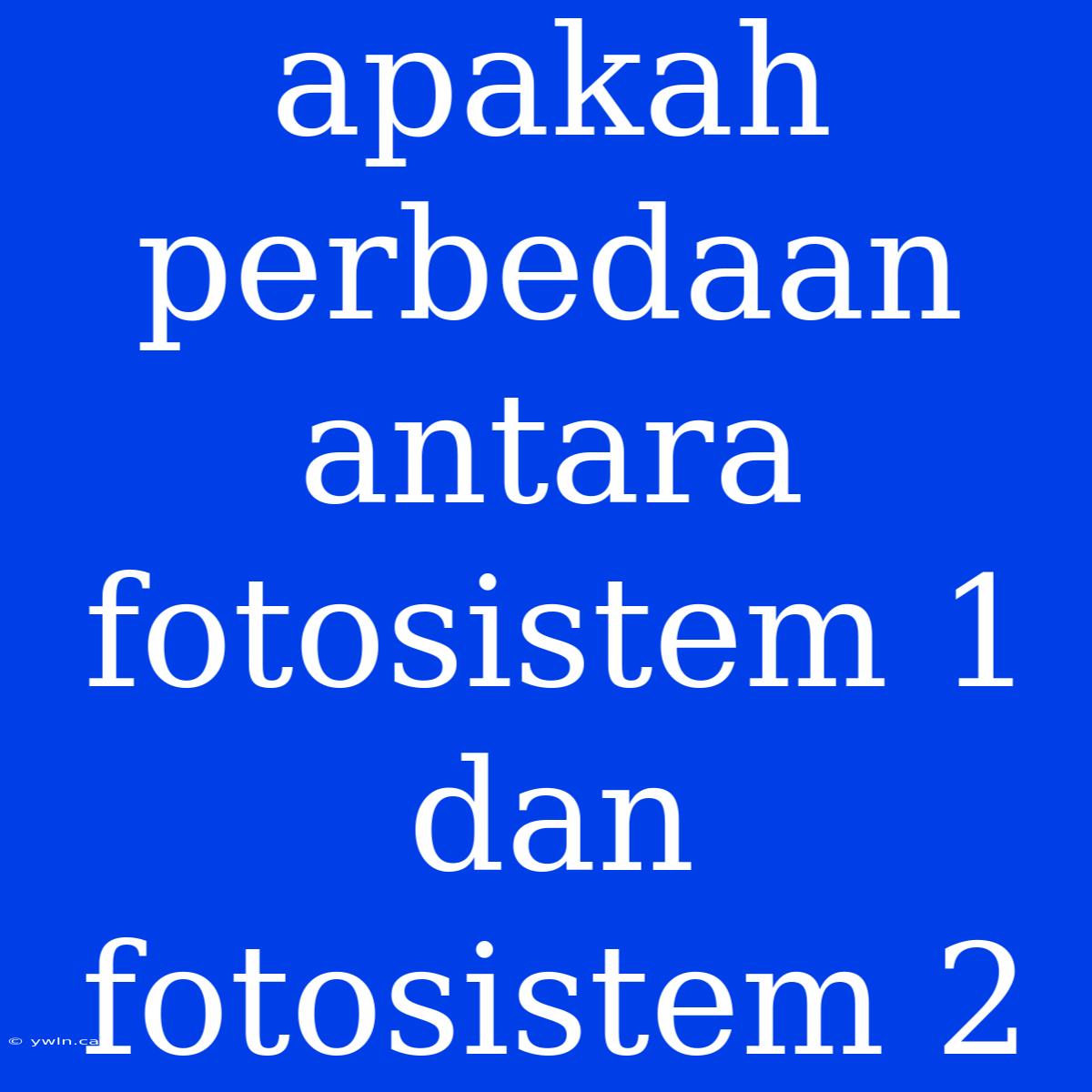 Apakah Perbedaan Antara Fotosistem 1 Dan Fotosistem 2