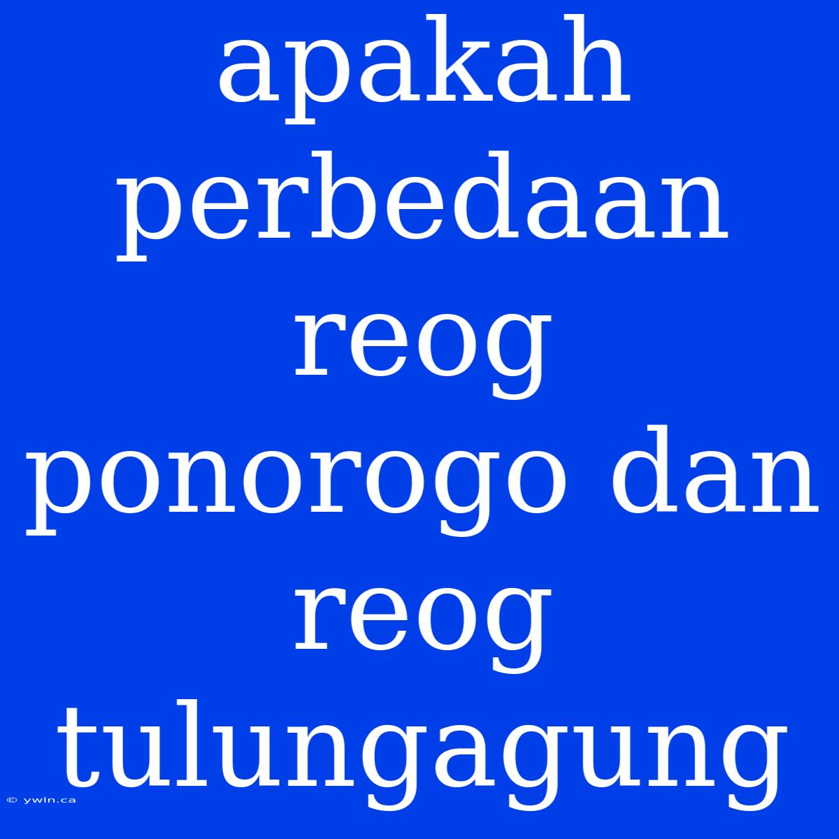 Apakah Perbedaan Reog Ponorogo Dan Reog Tulungagung