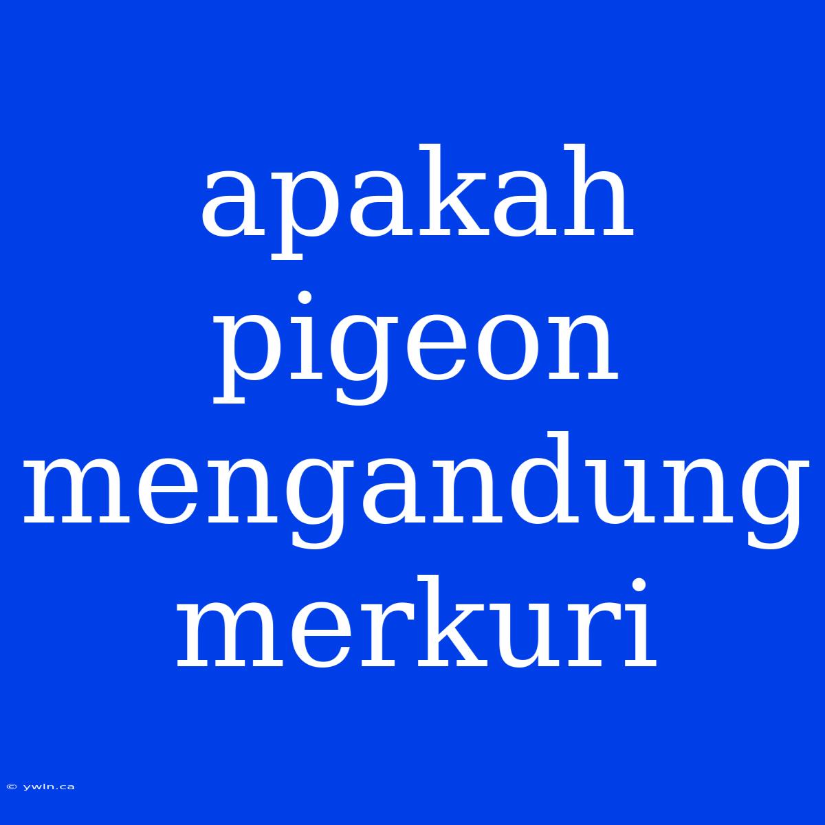 Apakah Pigeon Mengandung Merkuri