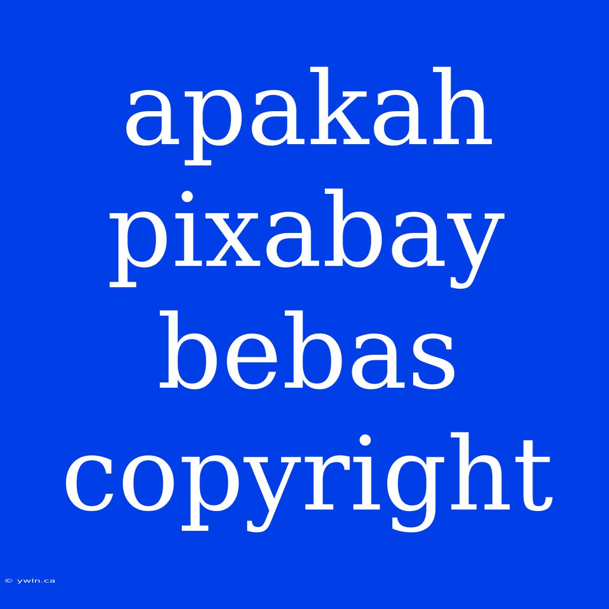 Apakah Pixabay Bebas Copyright