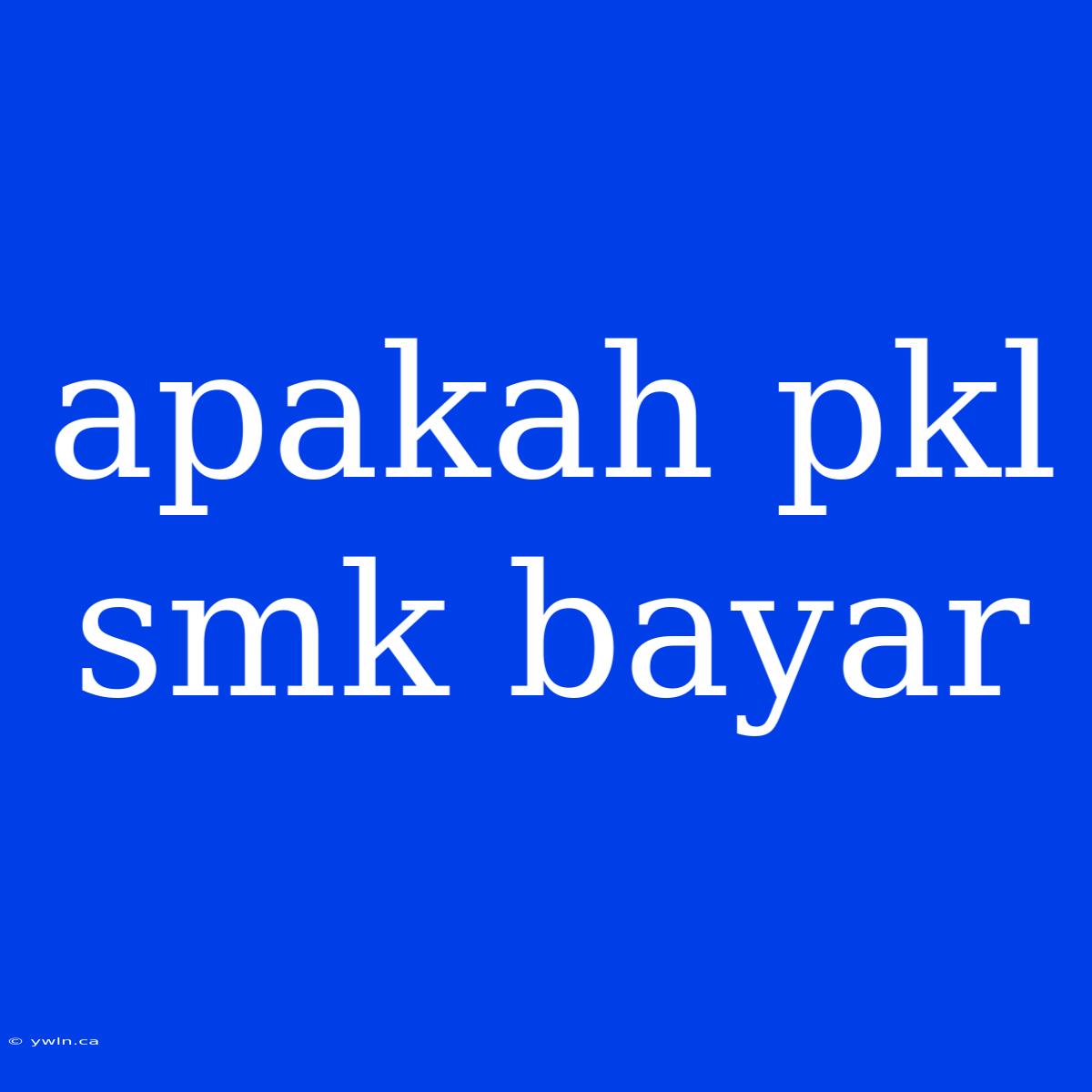 Apakah Pkl Smk Bayar