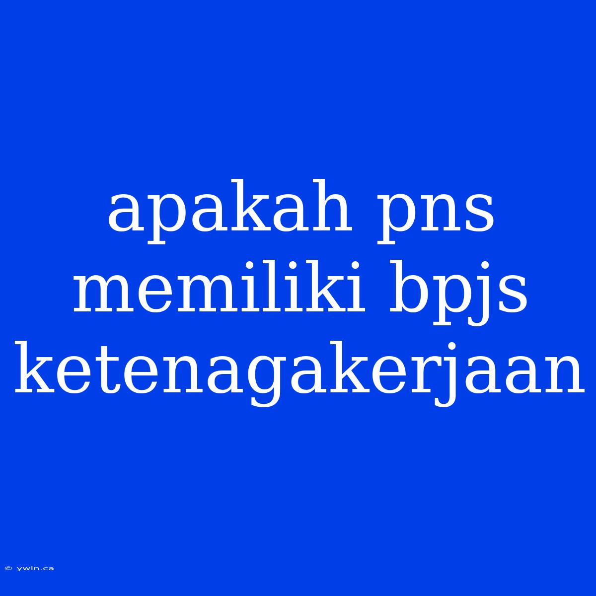 Apakah Pns Memiliki Bpjs Ketenagakerjaan