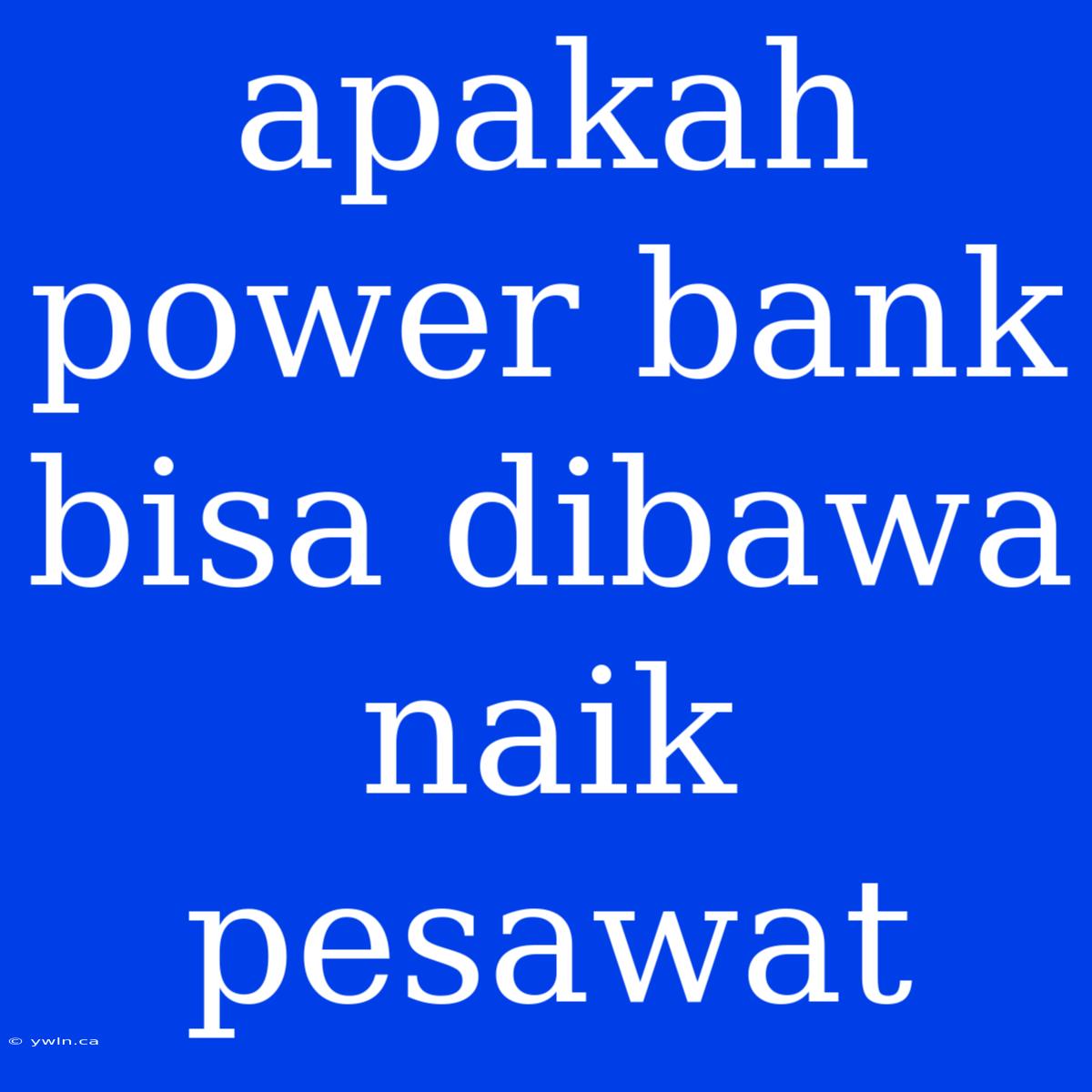 Apakah Power Bank Bisa Dibawa Naik Pesawat