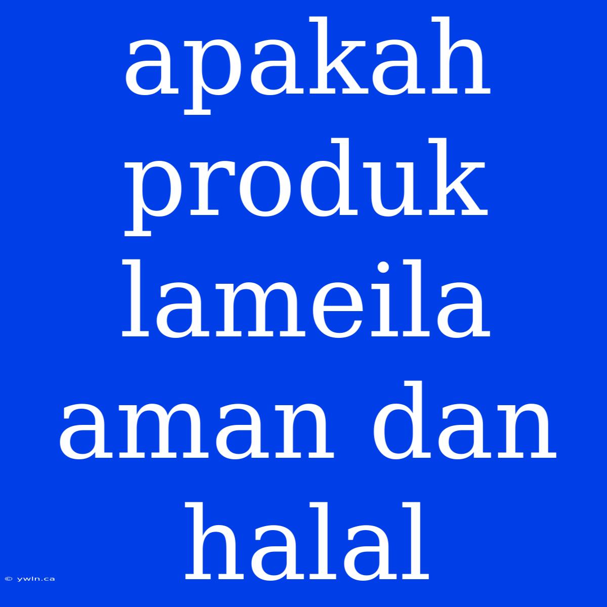 Apakah Produk Lameila Aman Dan Halal