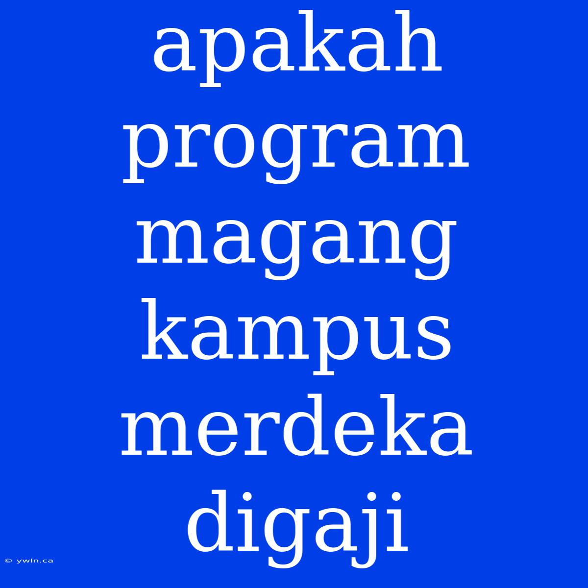 Apakah Program Magang Kampus Merdeka Digaji