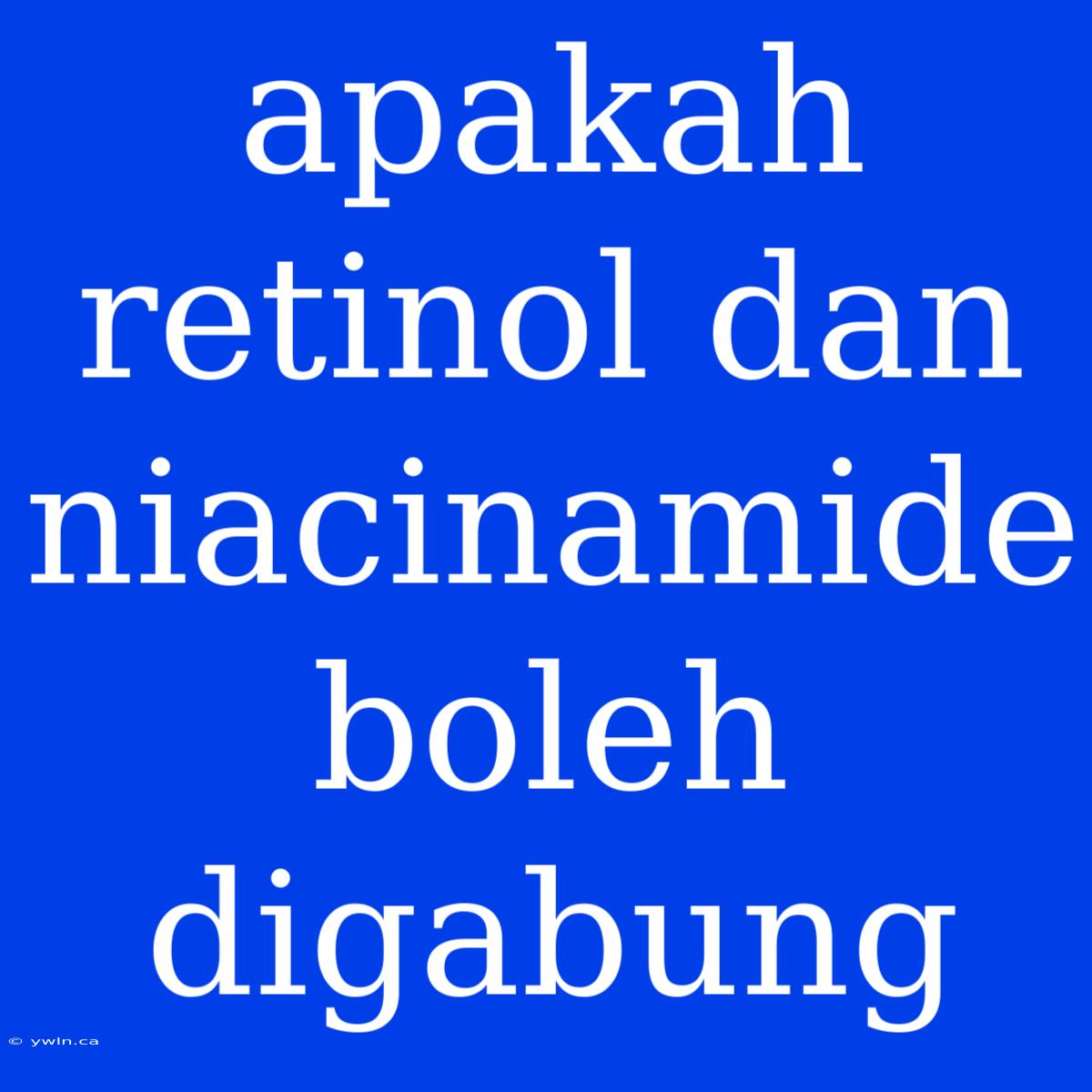 Apakah Retinol Dan Niacinamide Boleh Digabung