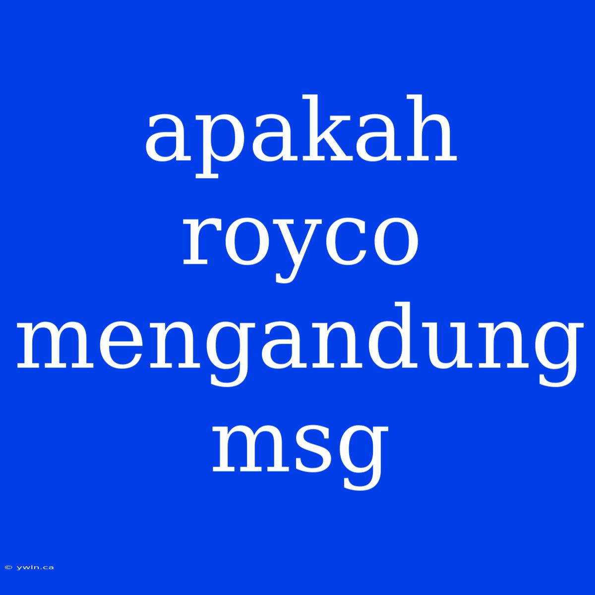 Apakah Royco Mengandung Msg