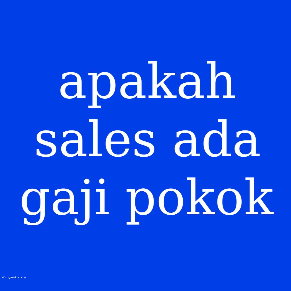 Apakah Sales Ada Gaji Pokok