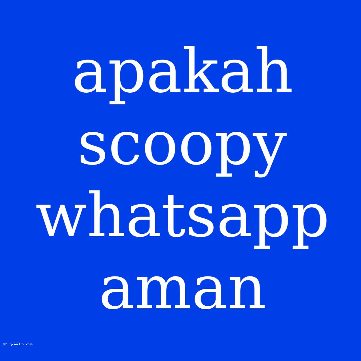 Apakah Scoopy Whatsapp Aman