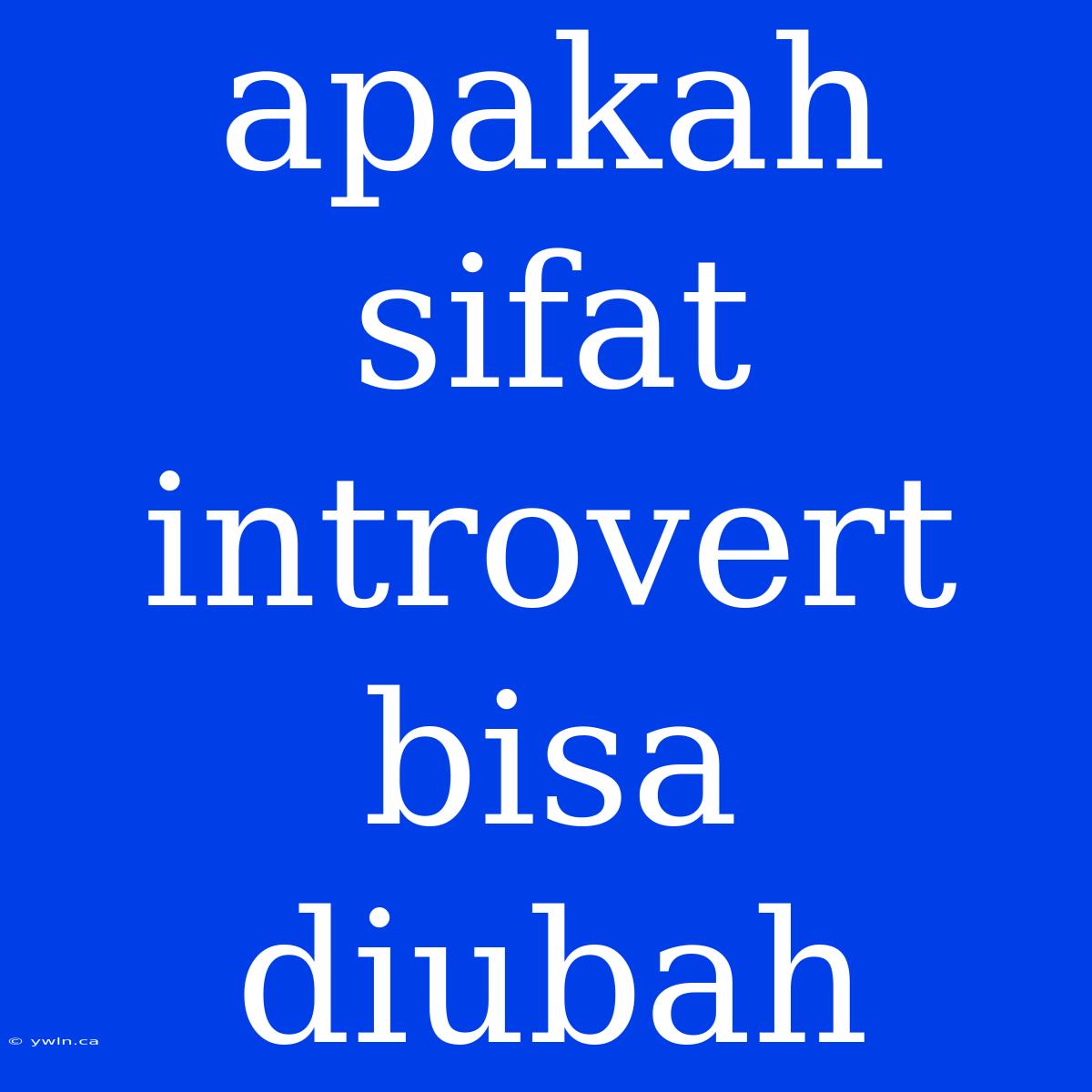 Apakah Sifat Introvert Bisa Diubah