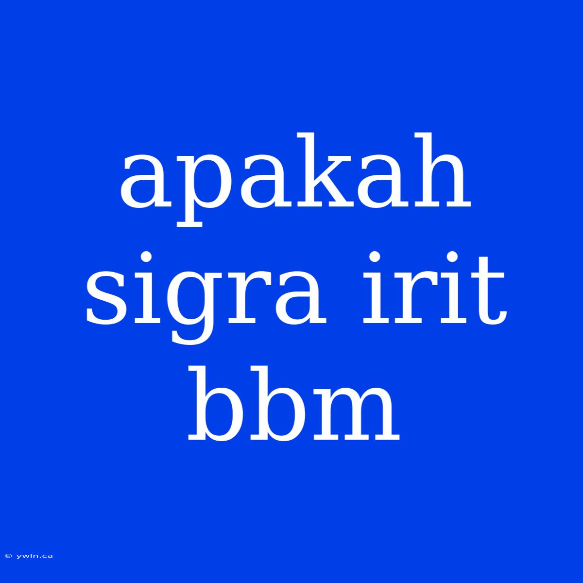 Apakah Sigra Irit Bbm