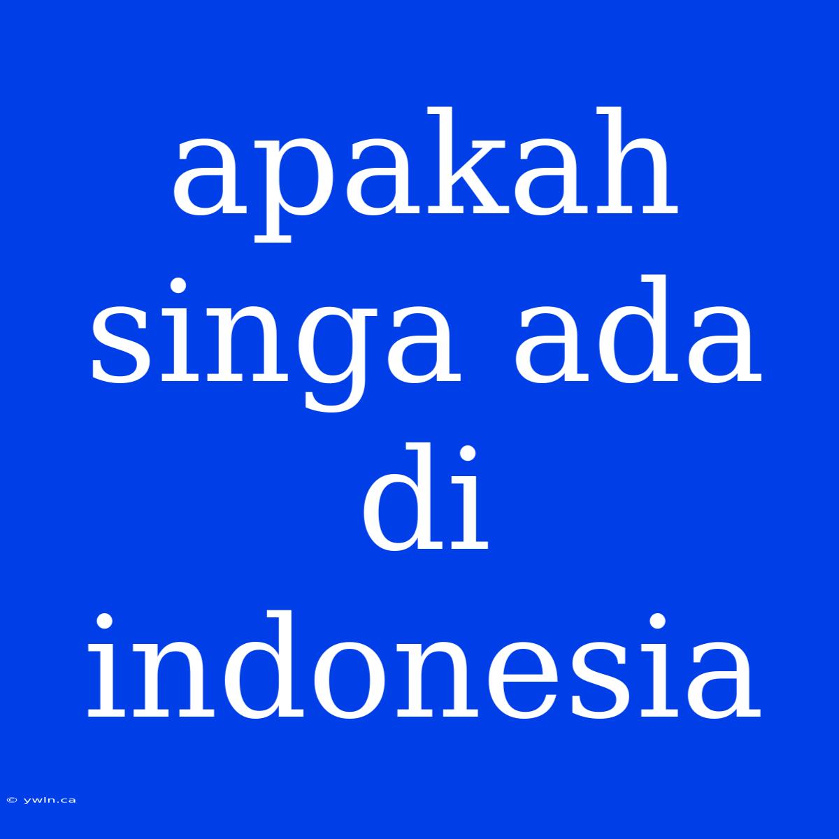 Apakah Singa Ada Di Indonesia