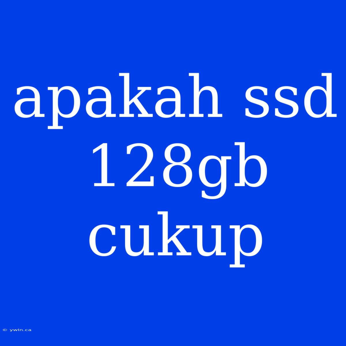 Apakah Ssd 128gb Cukup