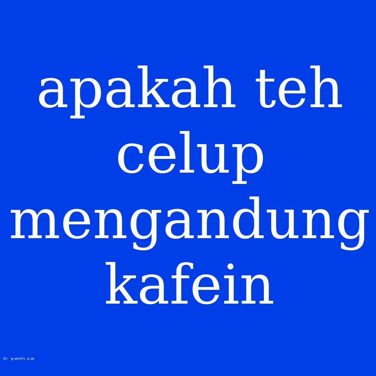 Apakah Teh Celup Mengandung Kafein