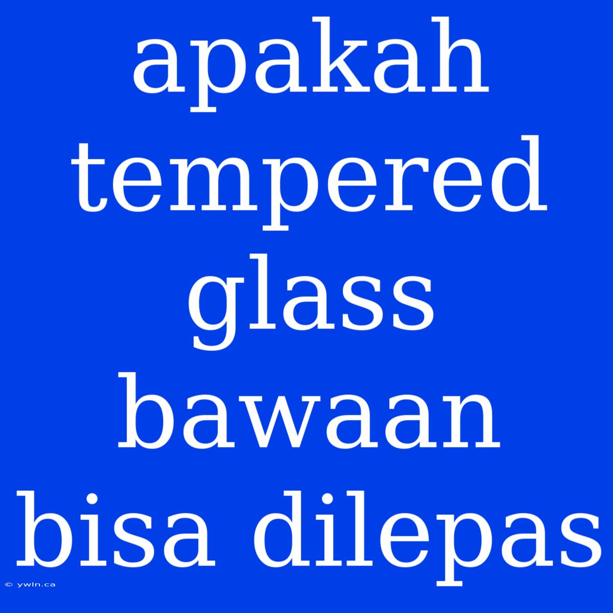 Apakah Tempered Glass Bawaan Bisa Dilepas