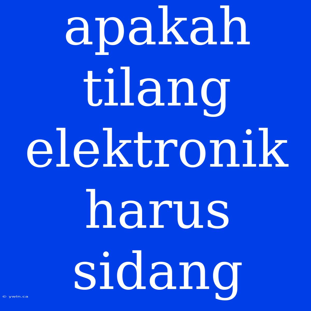 Apakah Tilang Elektronik Harus Sidang