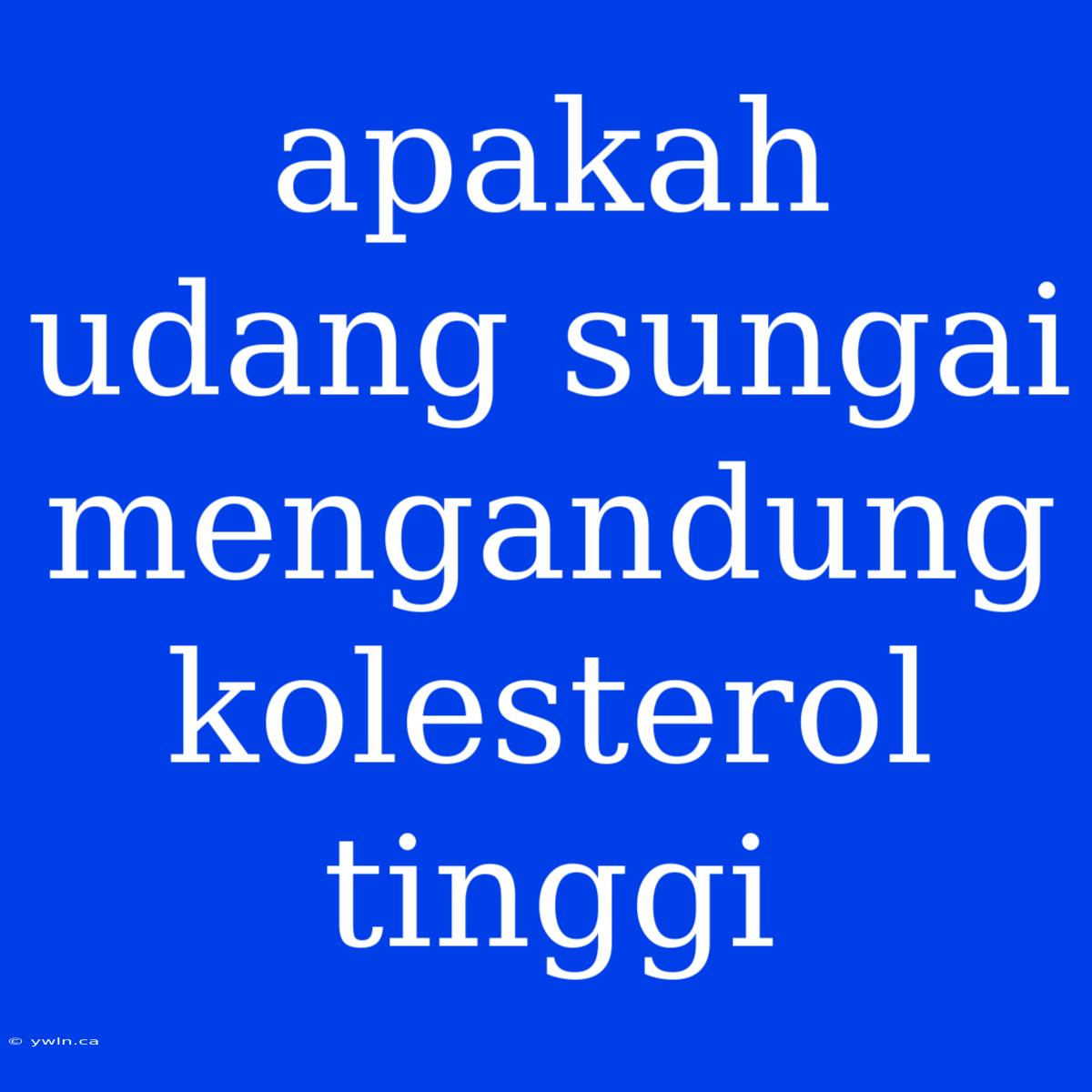 Apakah Udang Sungai Mengandung Kolesterol Tinggi