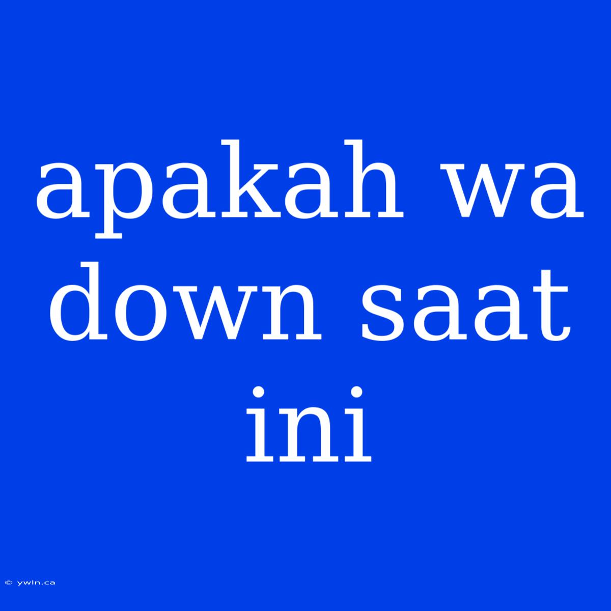 Apakah Wa Down Saat Ini