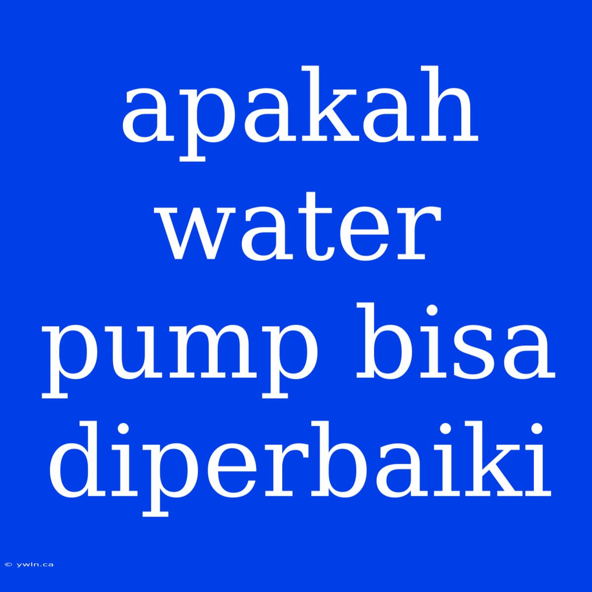 Apakah Water Pump Bisa Diperbaiki