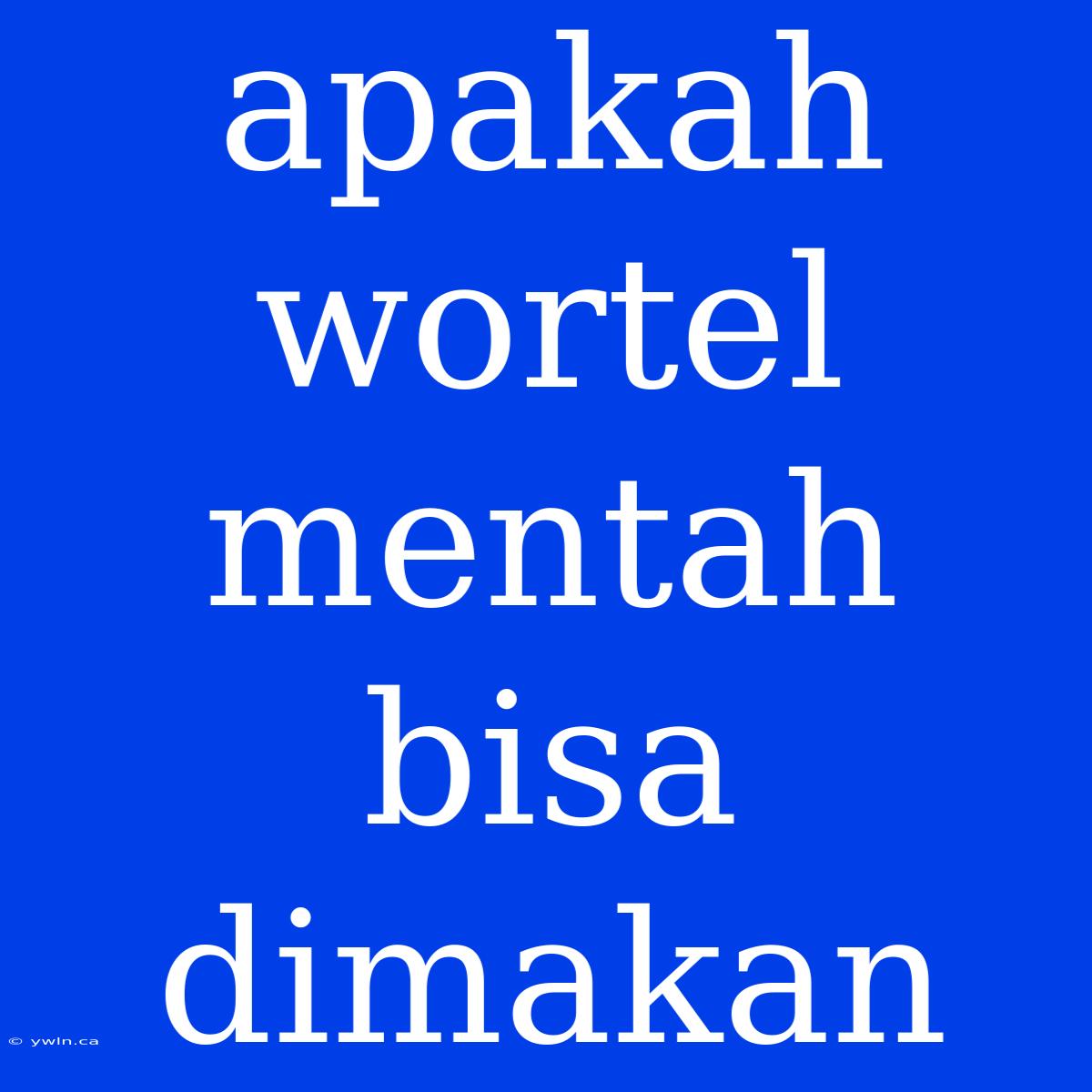 Apakah Wortel Mentah Bisa Dimakan