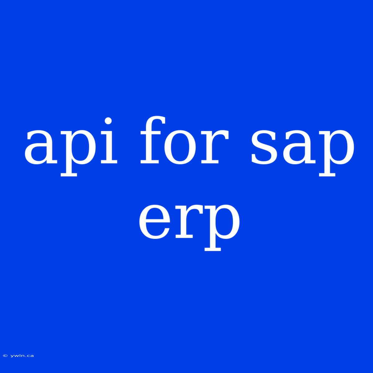 Api For Sap Erp