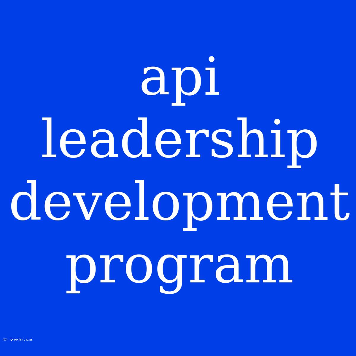 Api Leadership Development Program