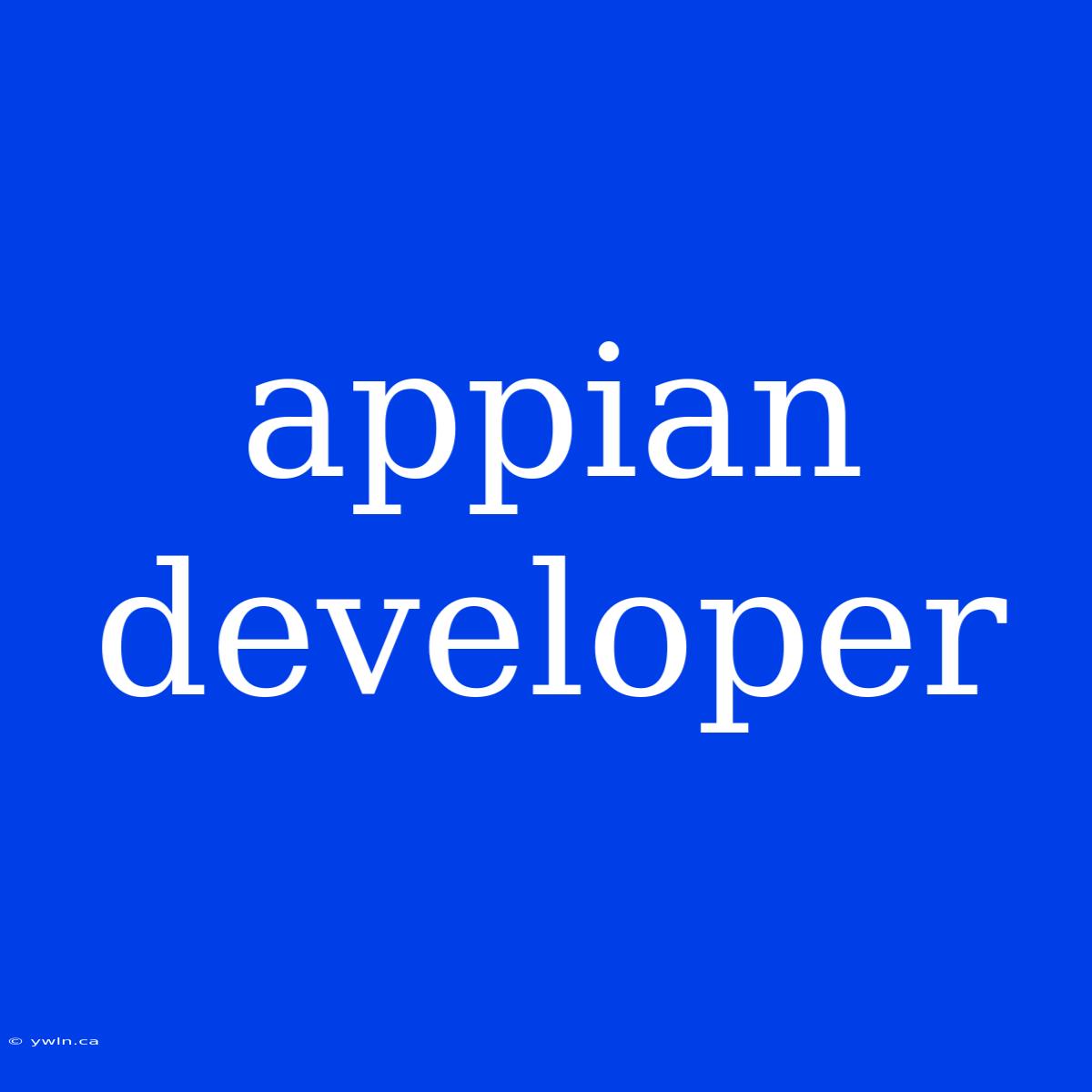 Appian Developer