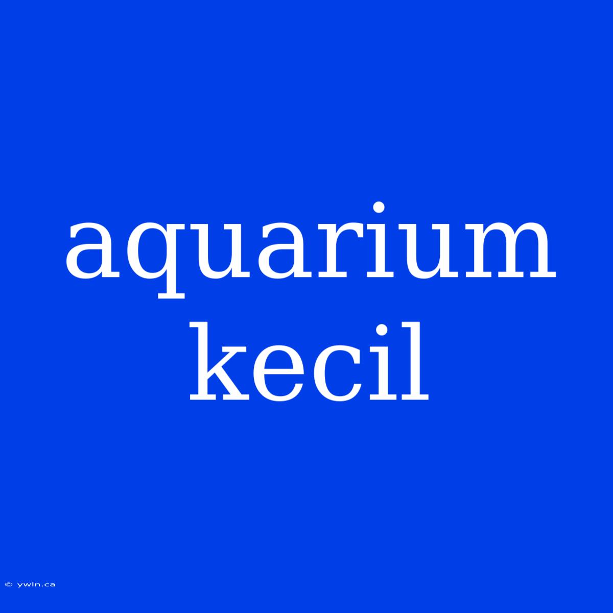 Aquarium Kecil