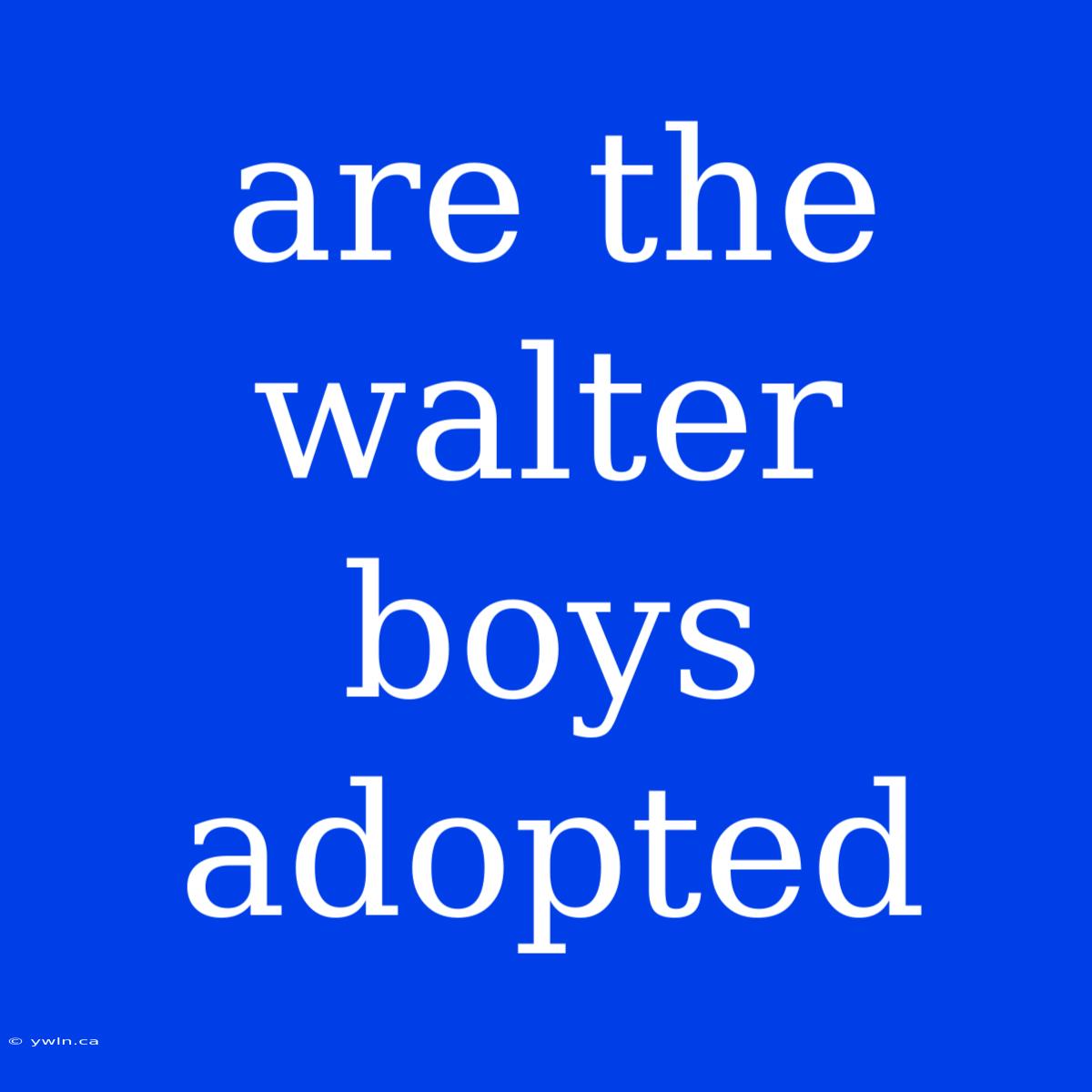 Are The Walter Boys Adopted