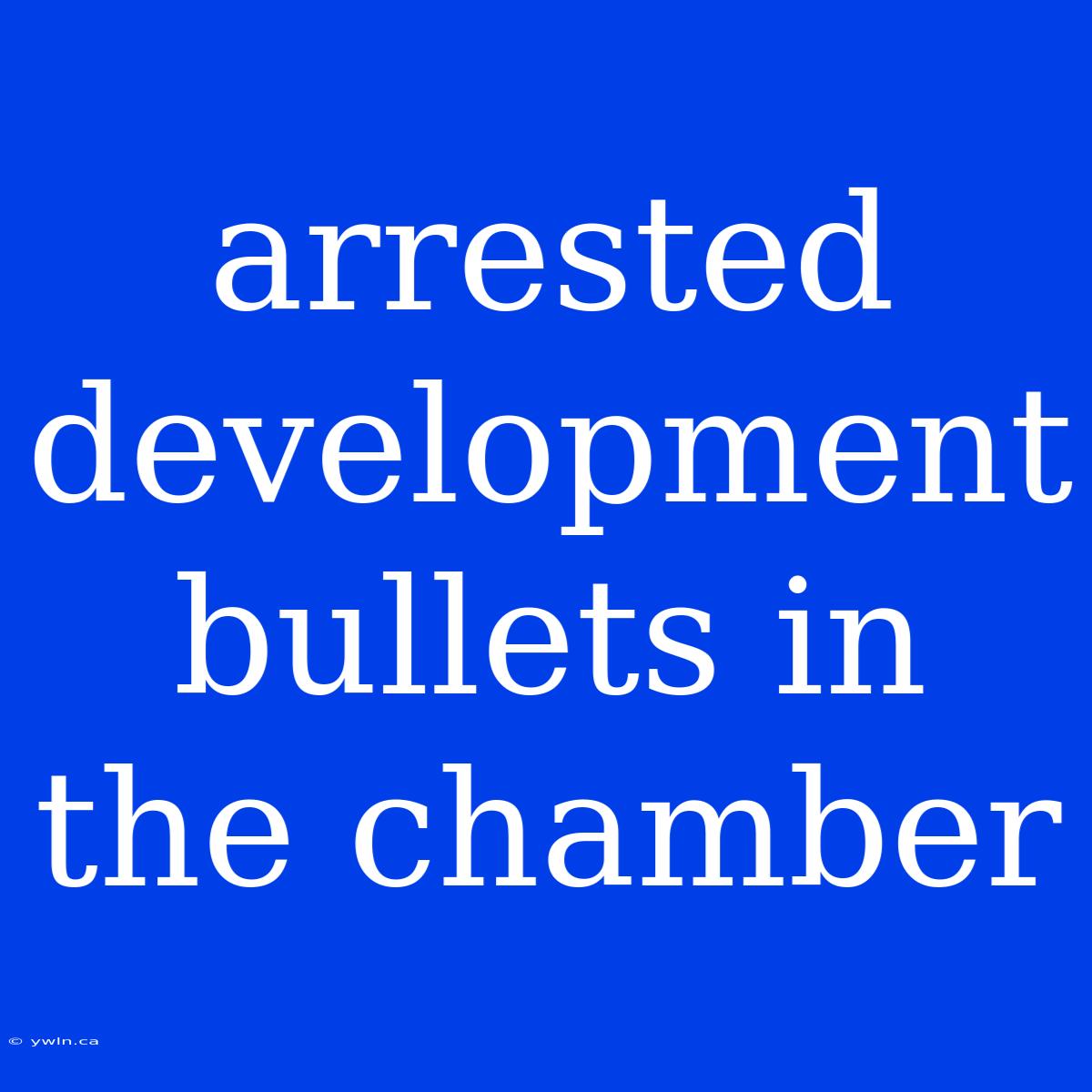 Arrested Development Bullets In The Chamber