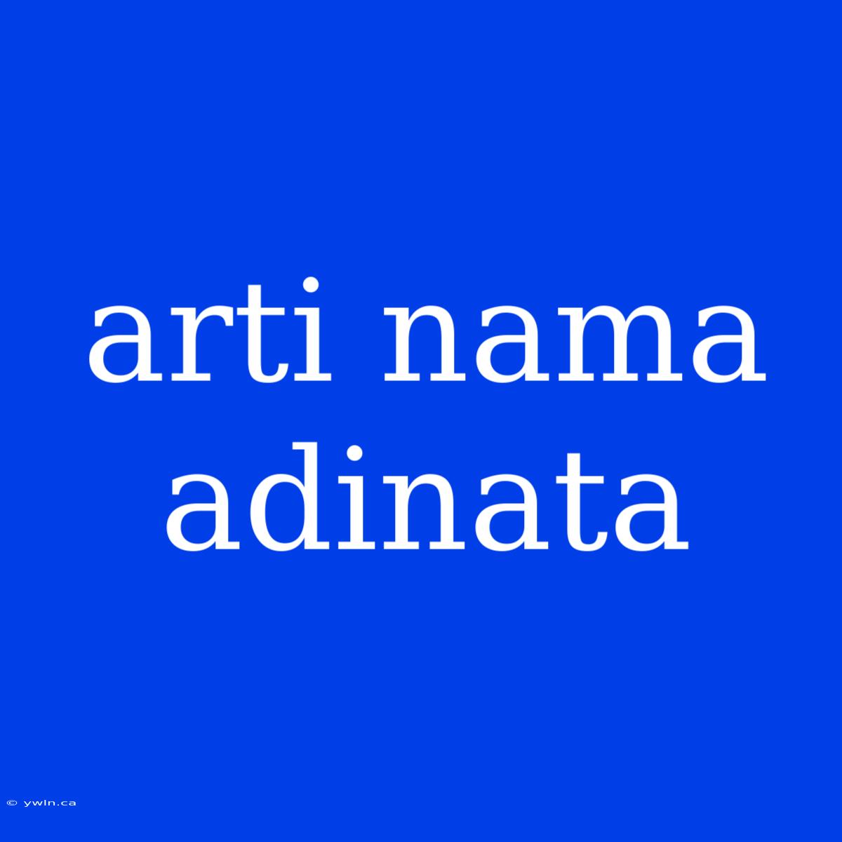 Arti Nama Adinata