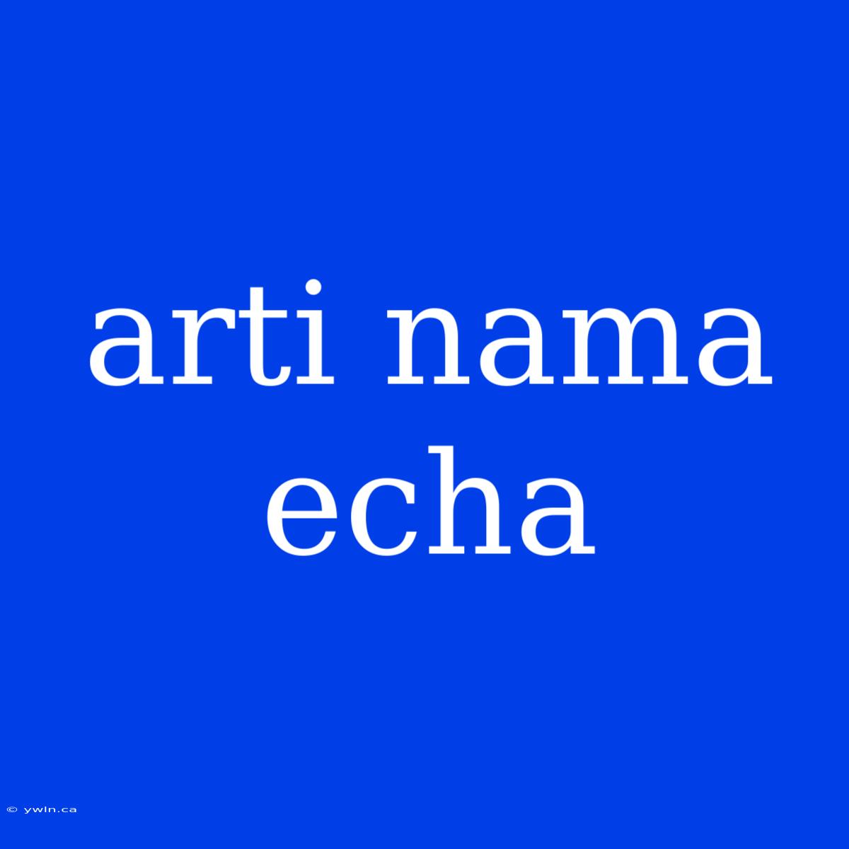 Arti Nama Echa