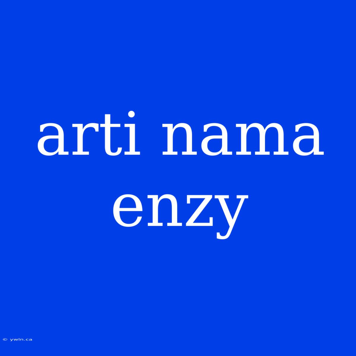 Arti Nama Enzy