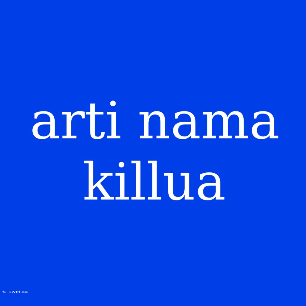 Arti Nama Killua