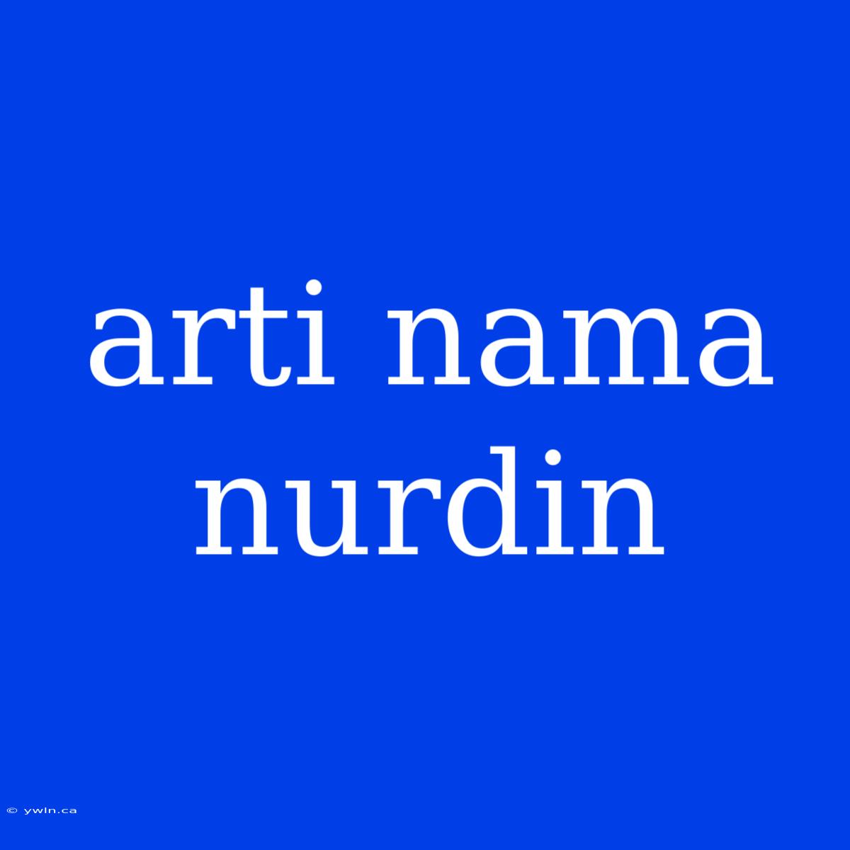 Arti Nama Nurdin