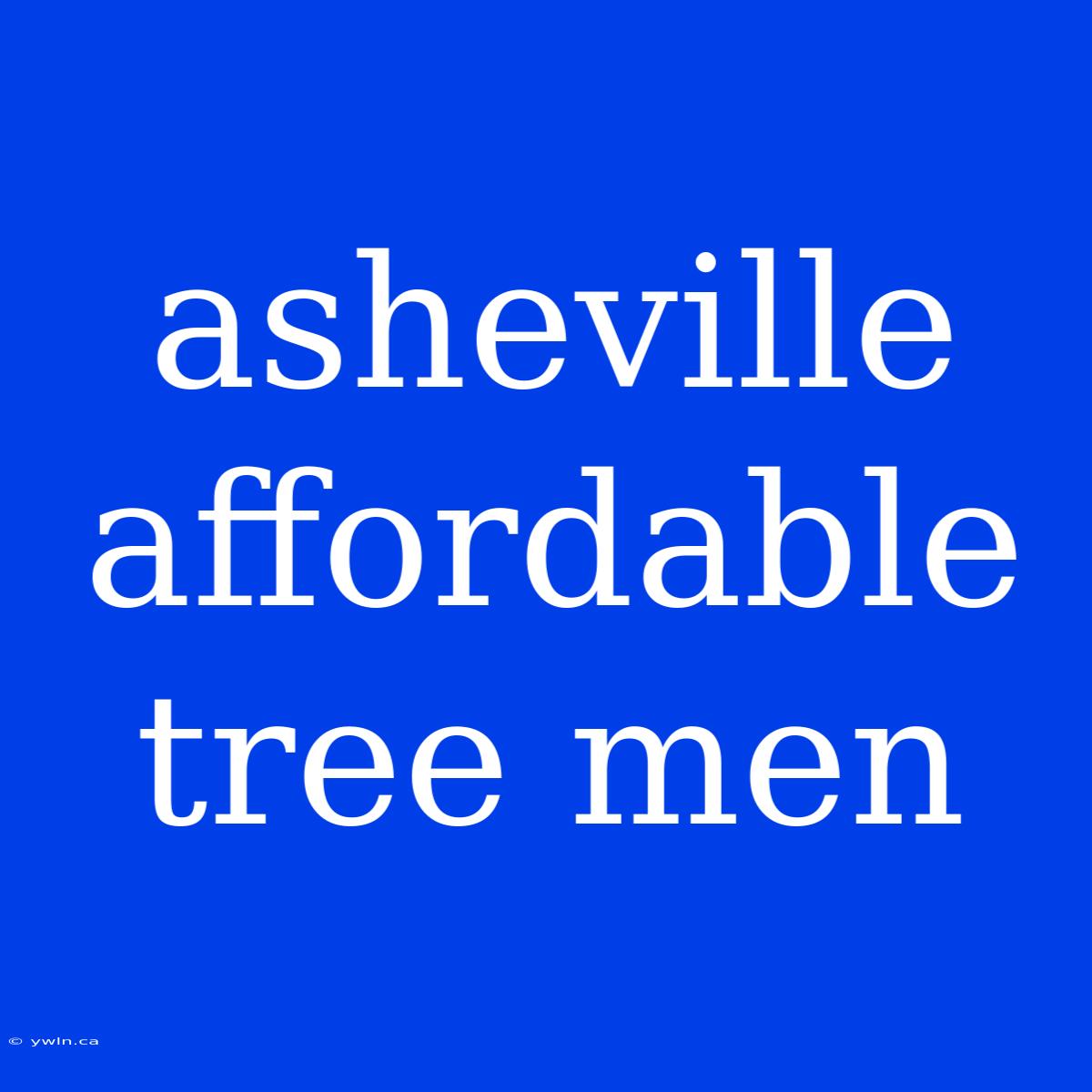 Asheville Affordable Tree Men