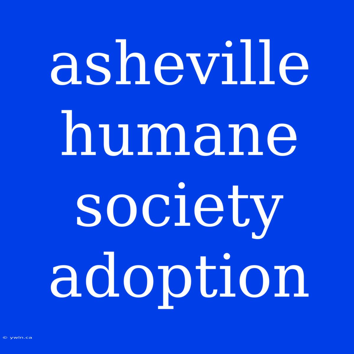 Asheville Humane Society Adoption