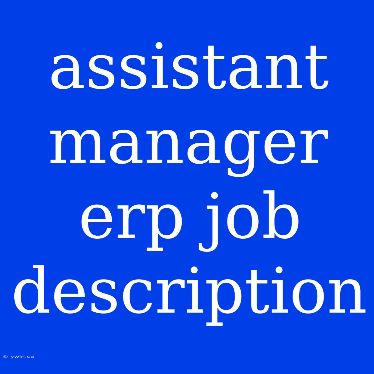 Assistant Manager Erp Job Description